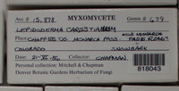 Image Associated With the Occurence